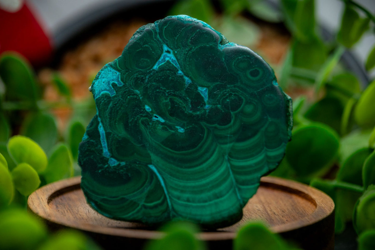 Malachite Crystal Slices With Chrysocolla 50-100g