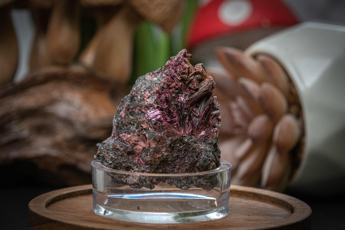 Erythrite cobalt bloom specimen
