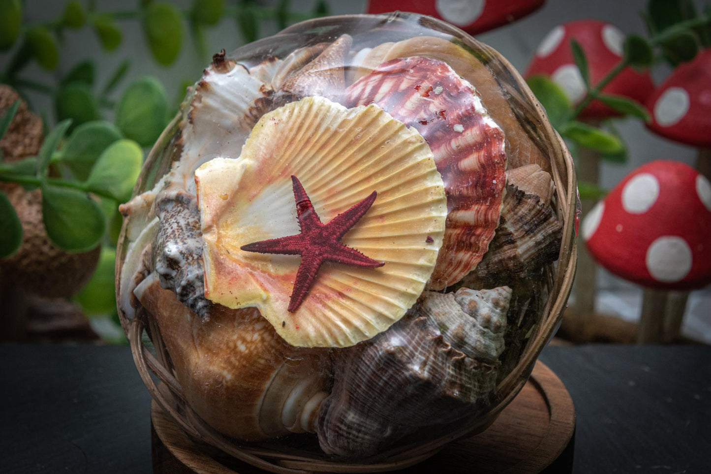 Basket of shells