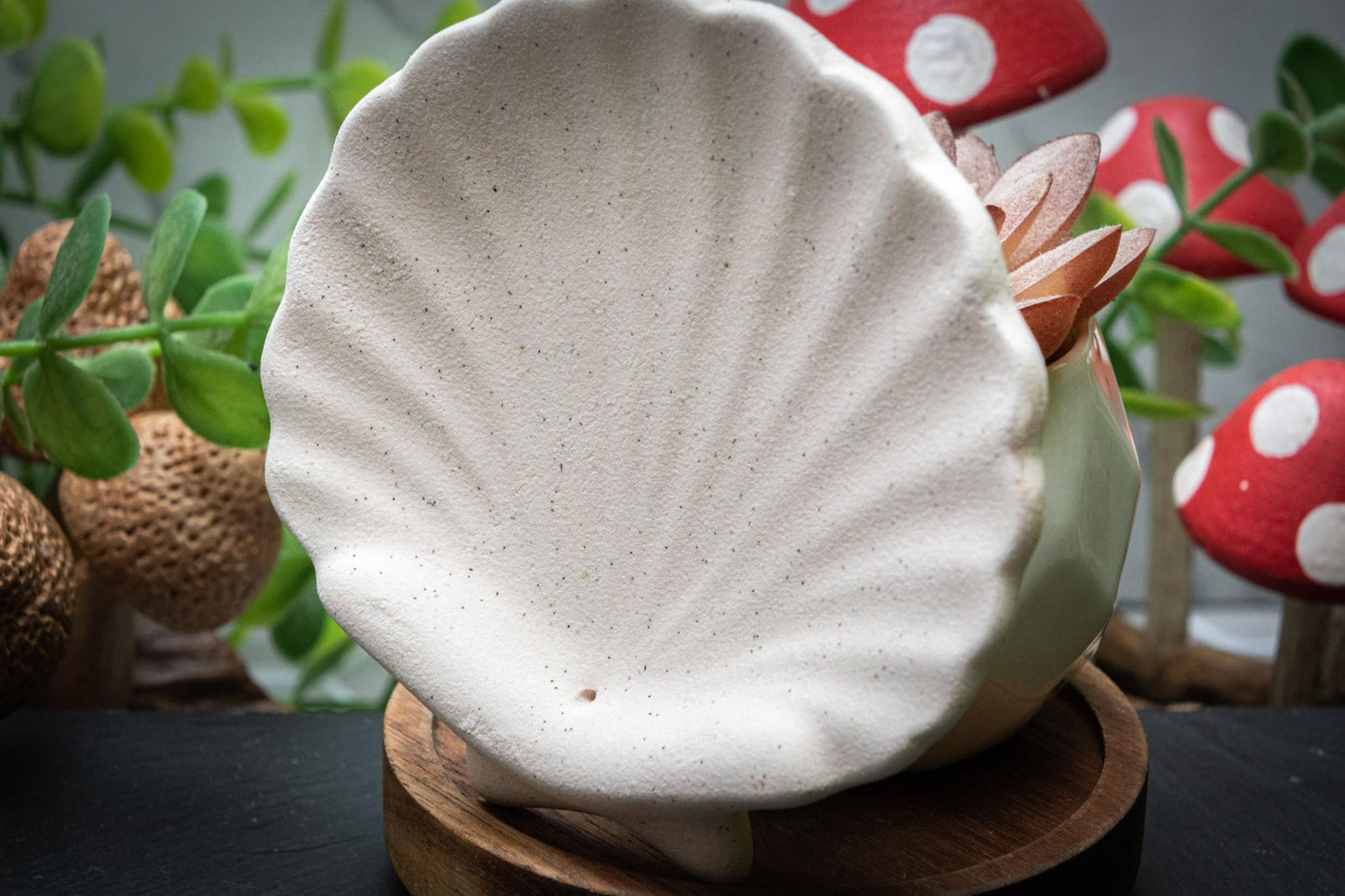 Shell incense holder