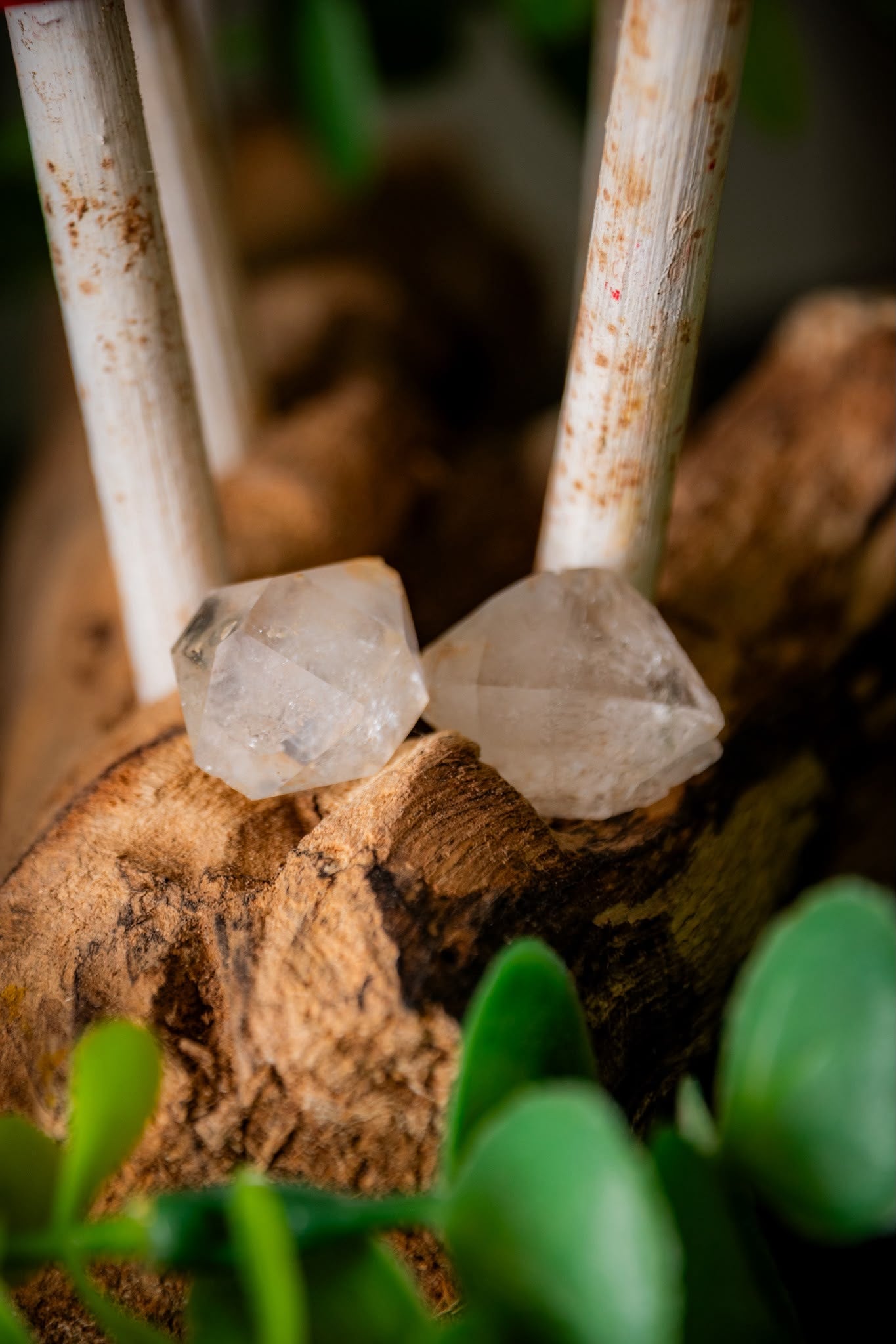 Atlas diamonds double terminated quartz points in display case