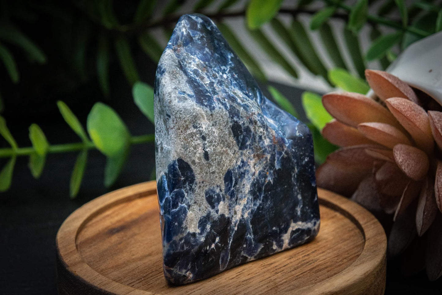 Sodalite rough polished freeforms