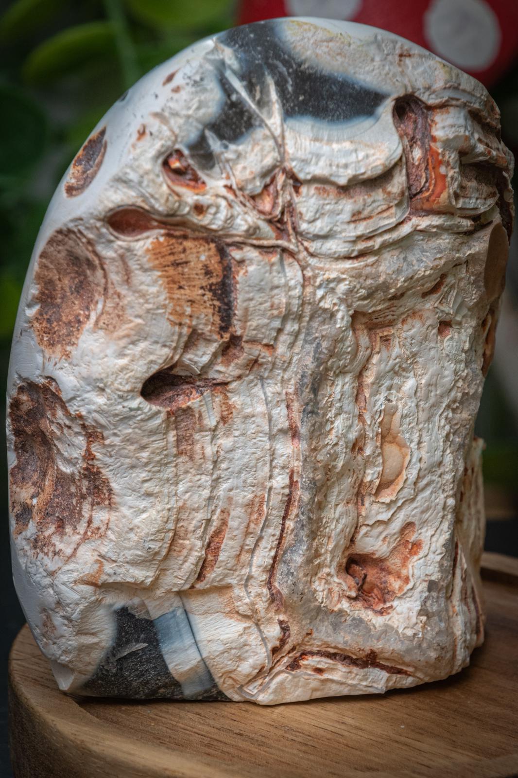 Orca agate freeform