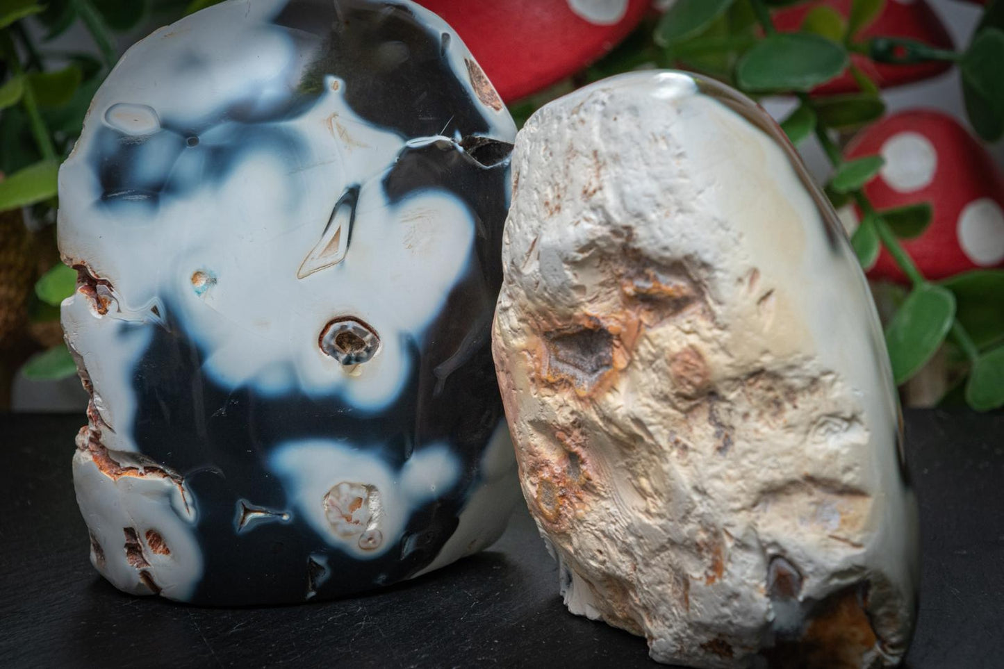 Orca agate freeform