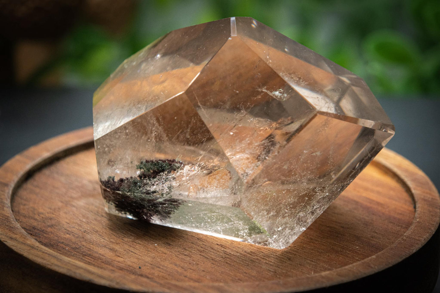Garden quartz prism freeform