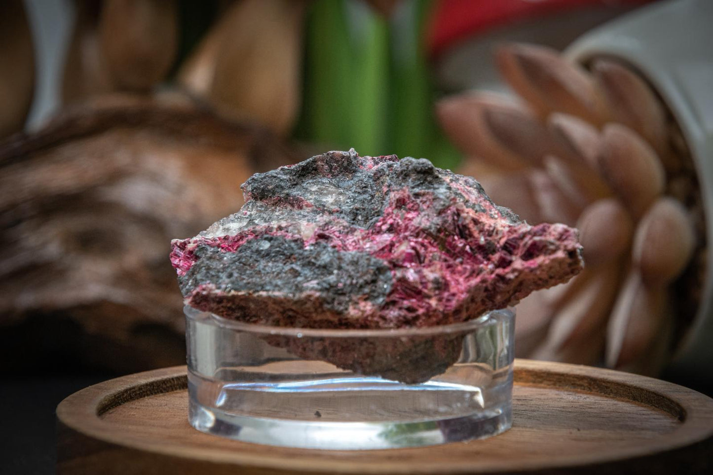Erythrite cobalt bloom specimen