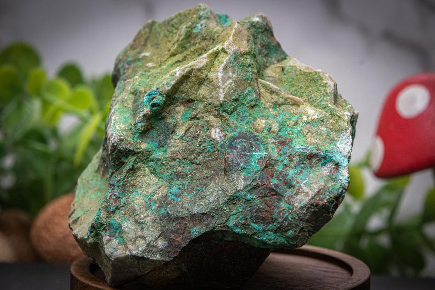 Quantum Quattro raw chunk