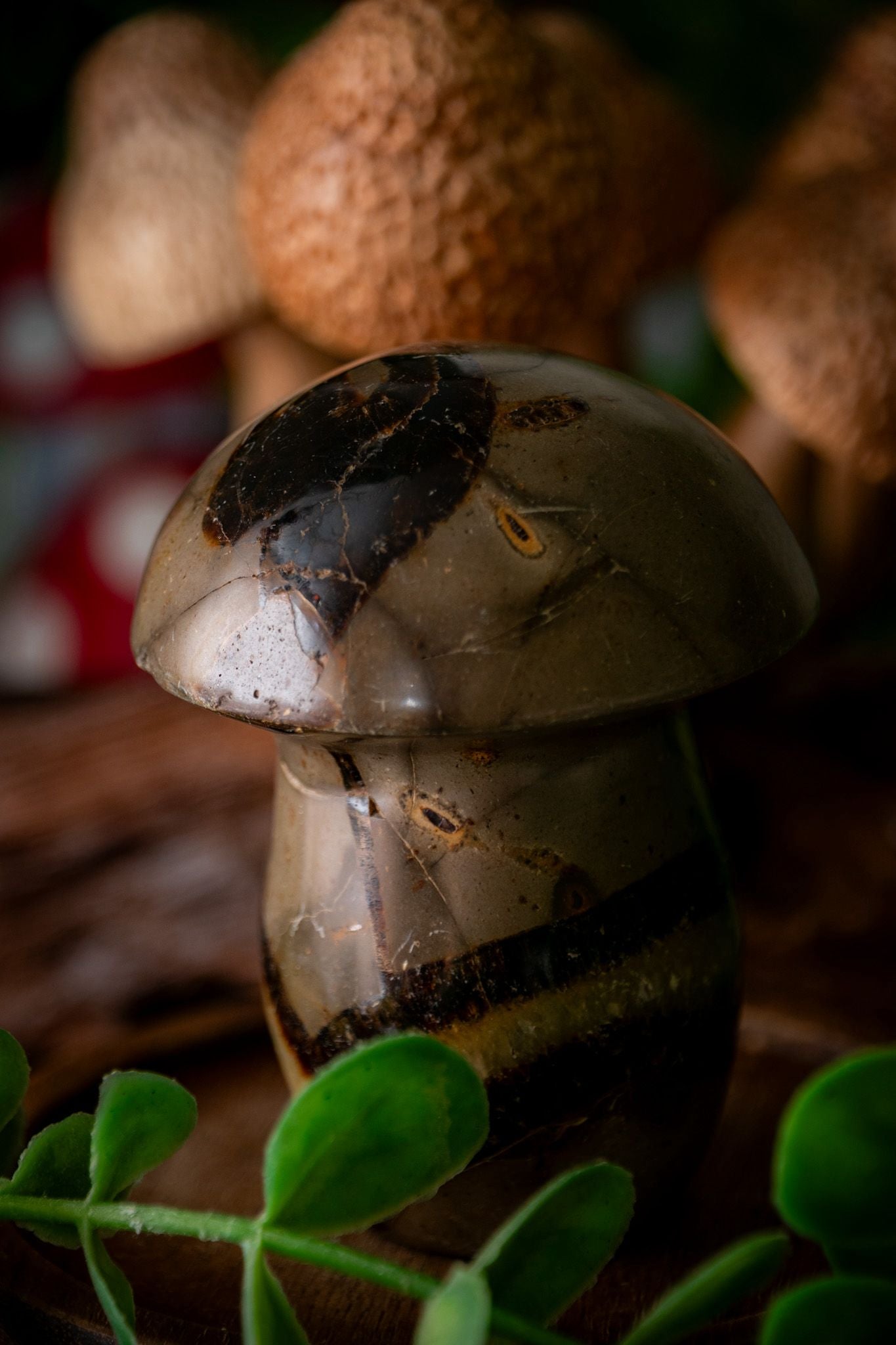 Septarian crystal mushroom carving