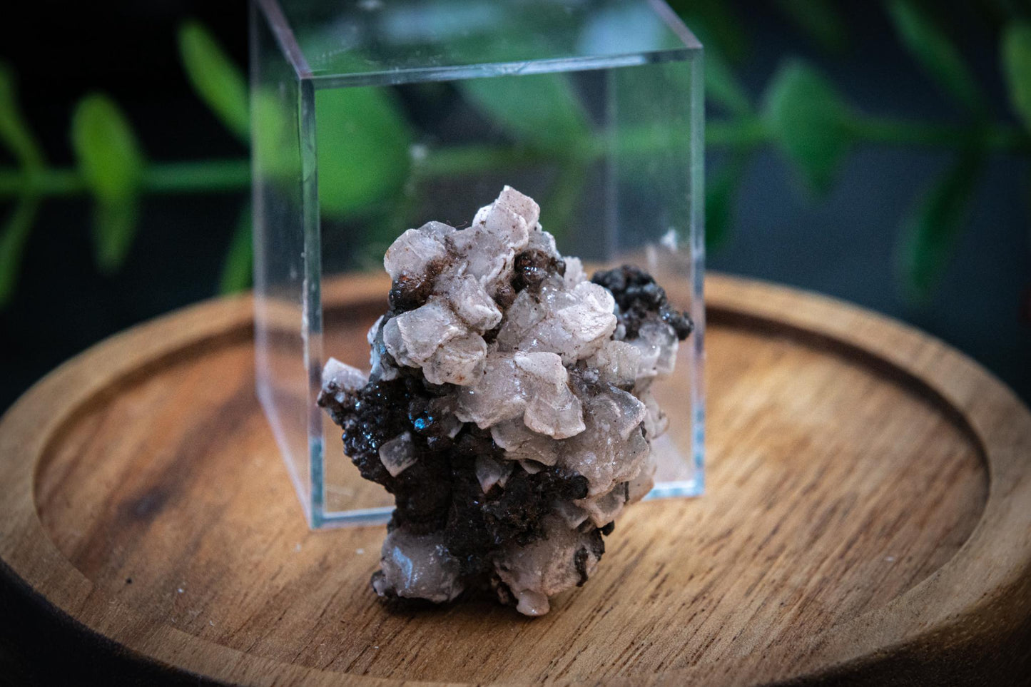 Rose petal Calcite on hematite specimen in display case