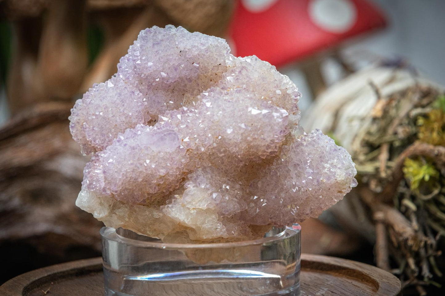 Spirit (cactus) amethyst clusters