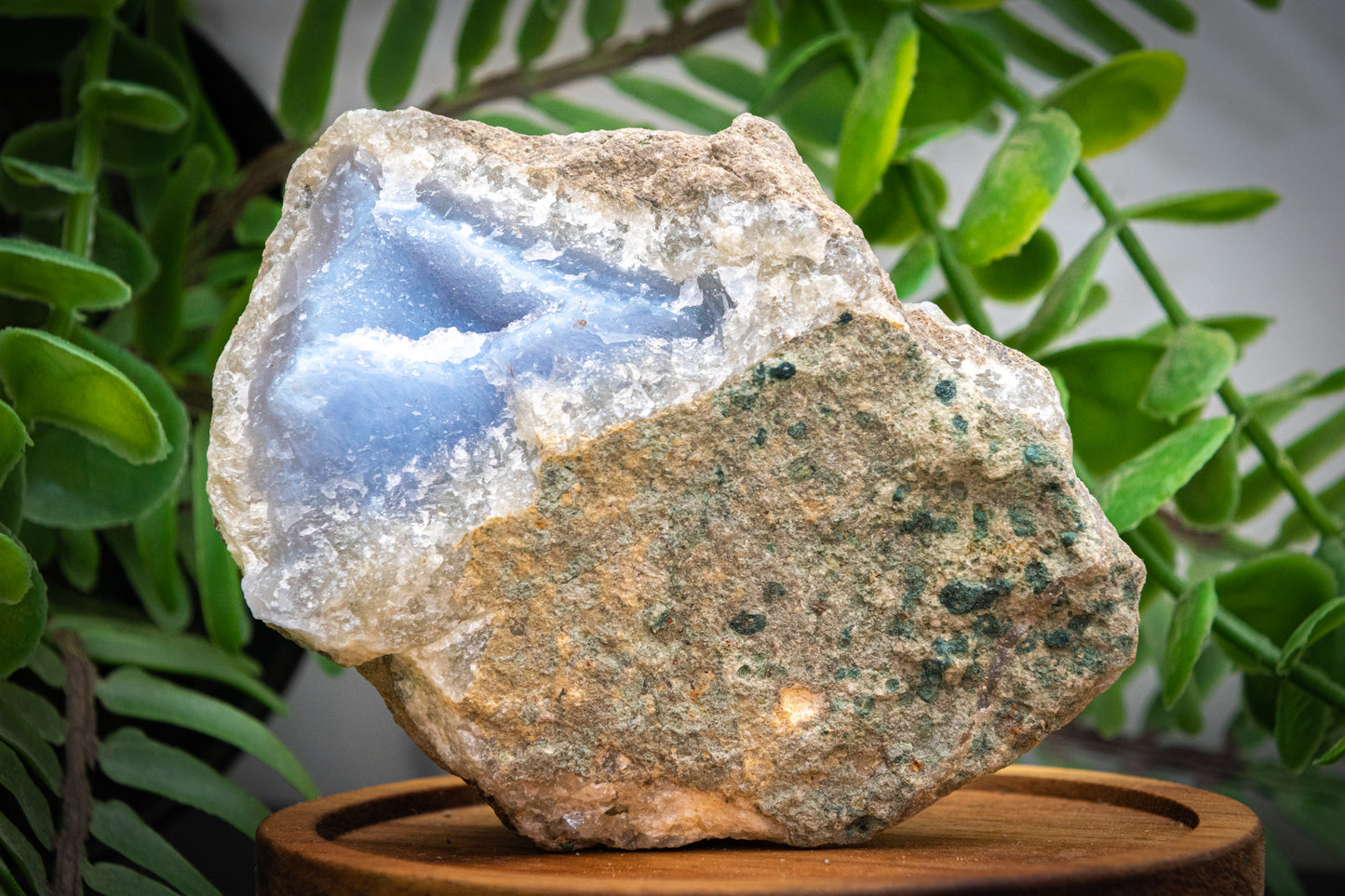 Blue lace agate rough chunk