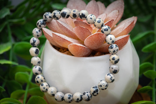 Dalmatian Jasper 8mm power bracelet