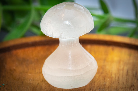 Selenite mini toadstool carving (30mm)