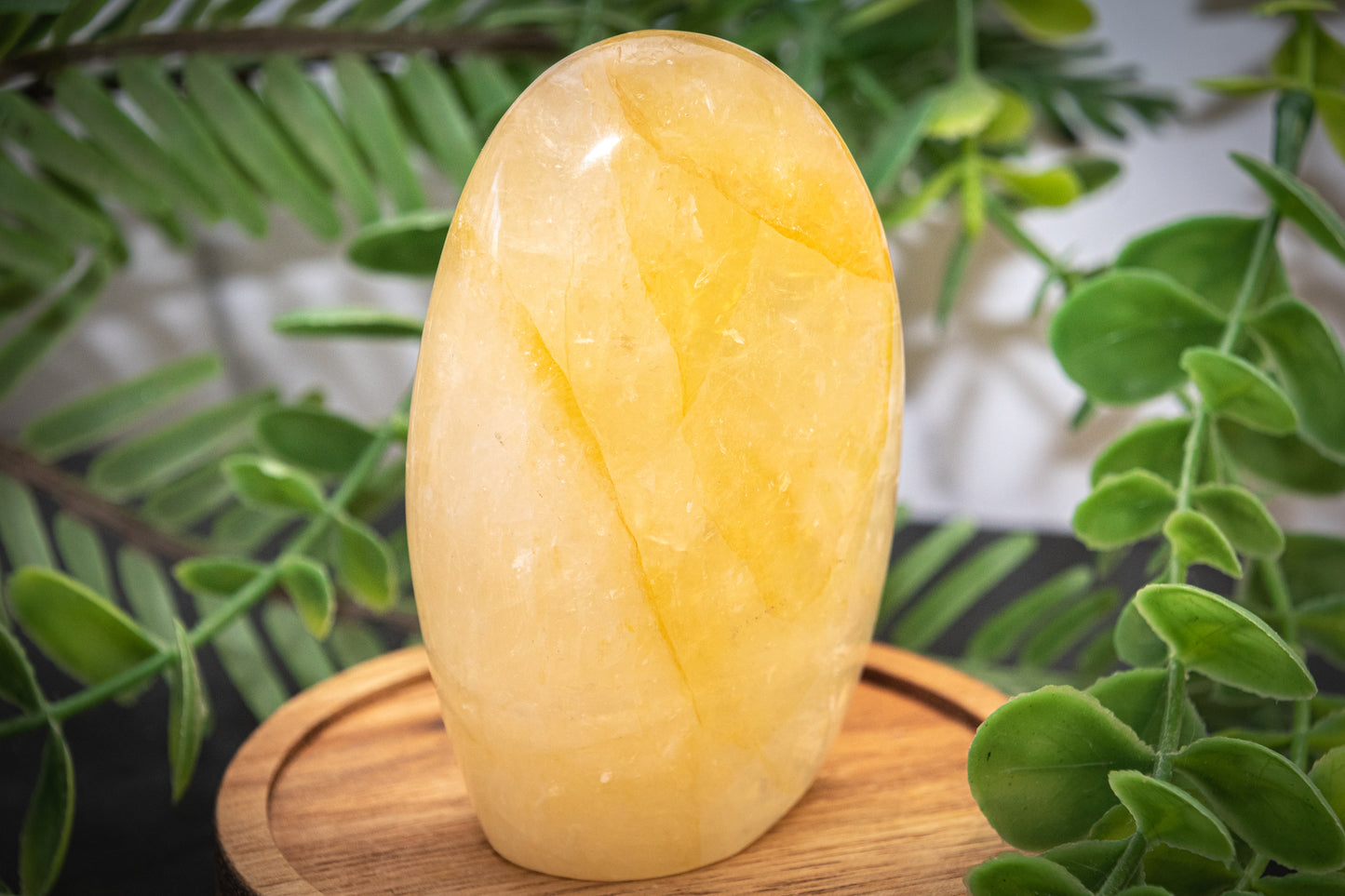 Golden healer Freeform