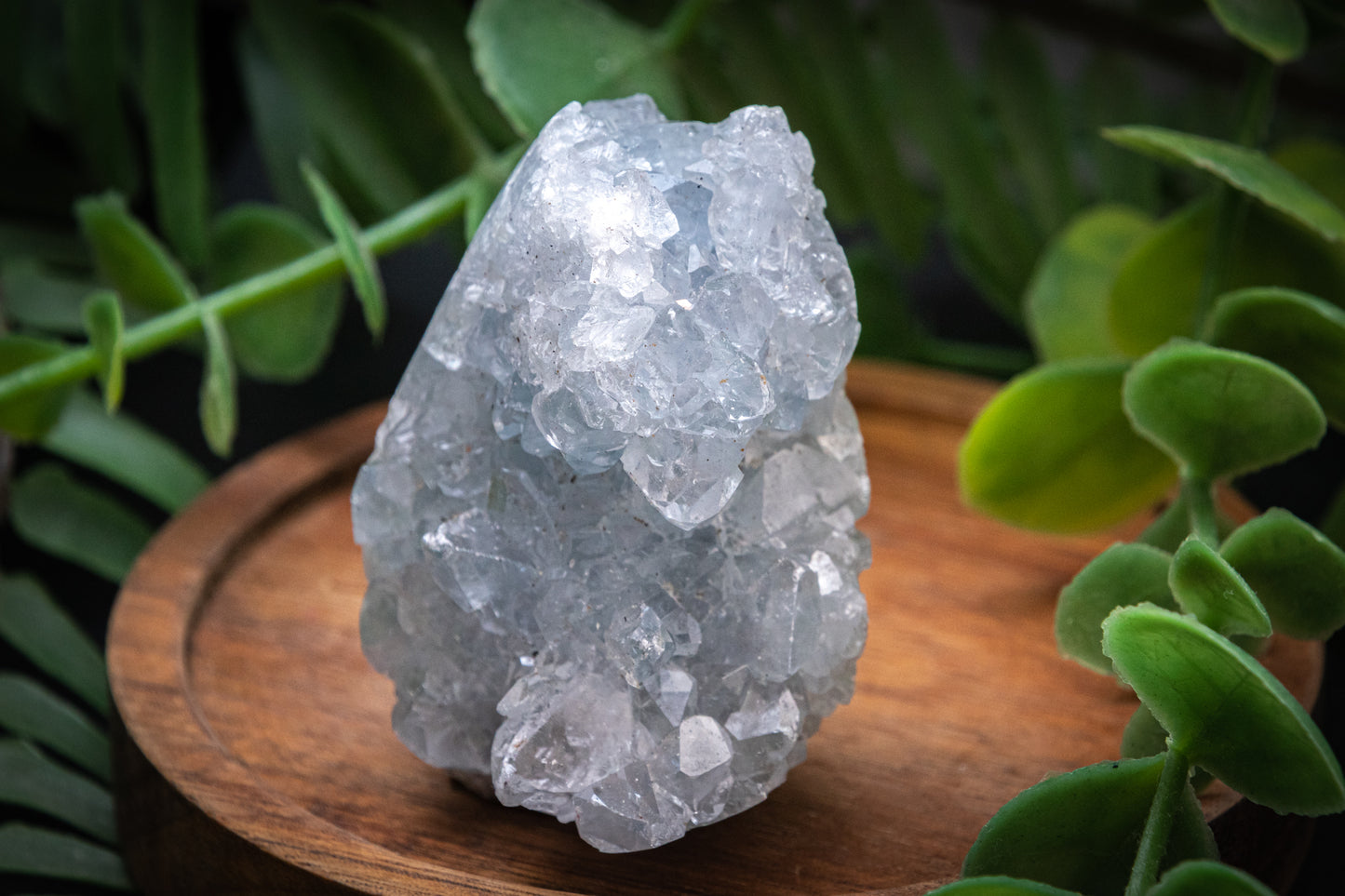 Celestite crystal egg druzy