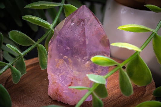 Inclusion Amethyst cutbase point (55mm x 42mm)