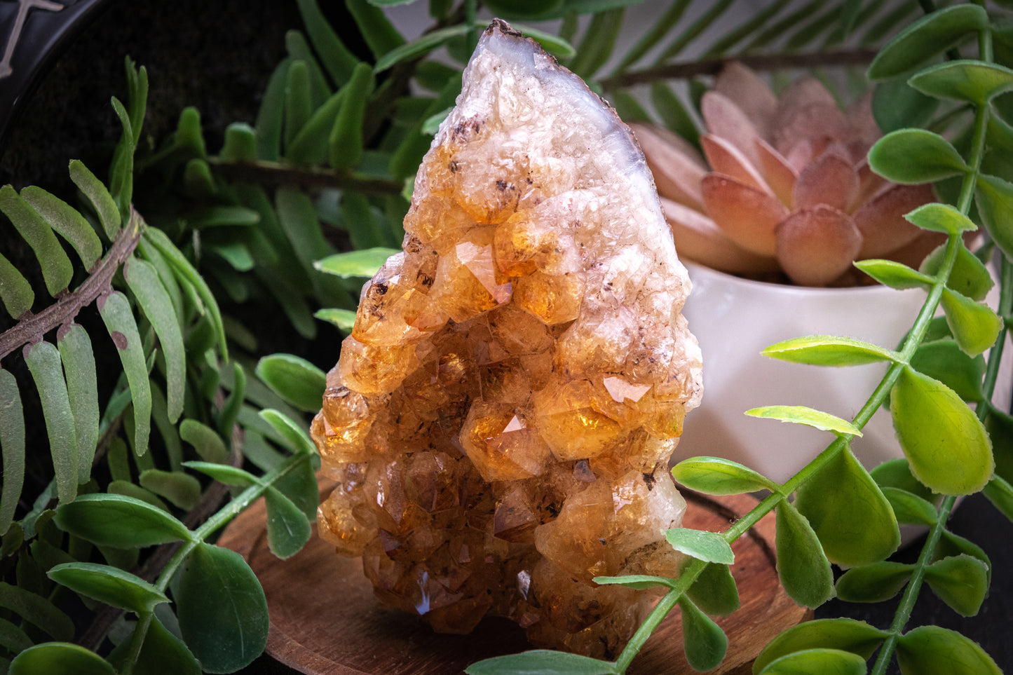 Citrine Druzy rough Bed (210g)