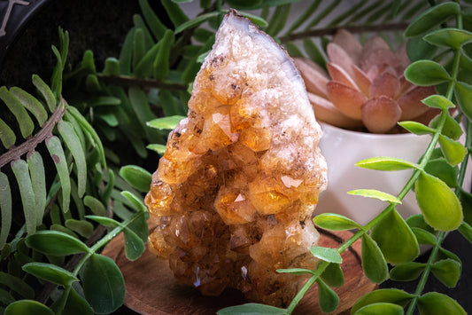 Citrine Druzy rough Bed (210g)