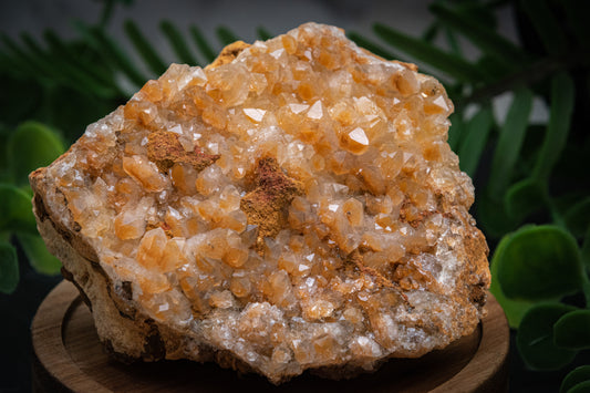 Limonite Druzy