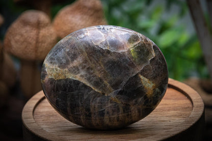 Black Moonstone palm stone