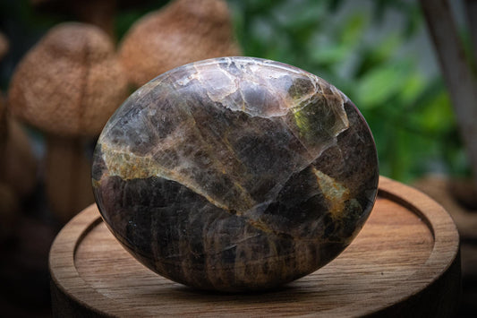 Black Moonstone palm stone