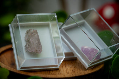 Kunzite specimen in display case