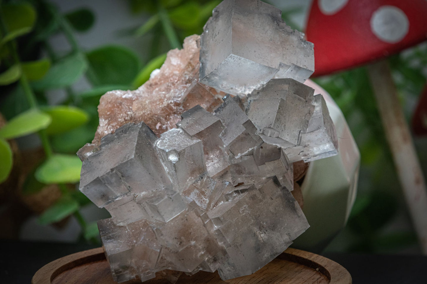 Halite salt crystal clusters