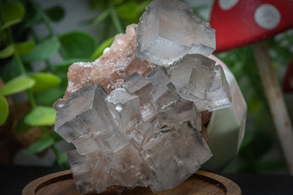 Halite salt crystal clusters