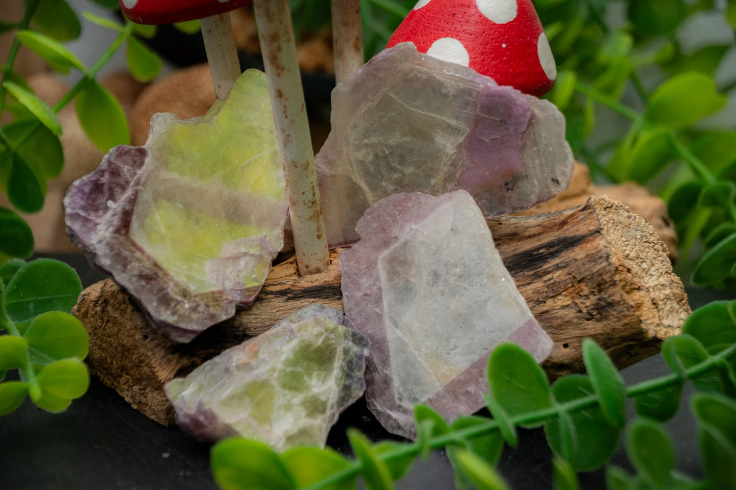 Lepidolite and Muscovite slices.