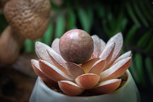 Rhodonite mini sphere