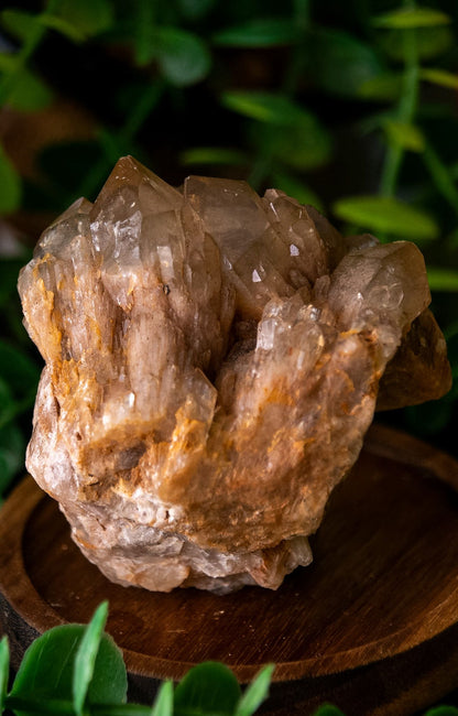 Kundalini citrine cluster