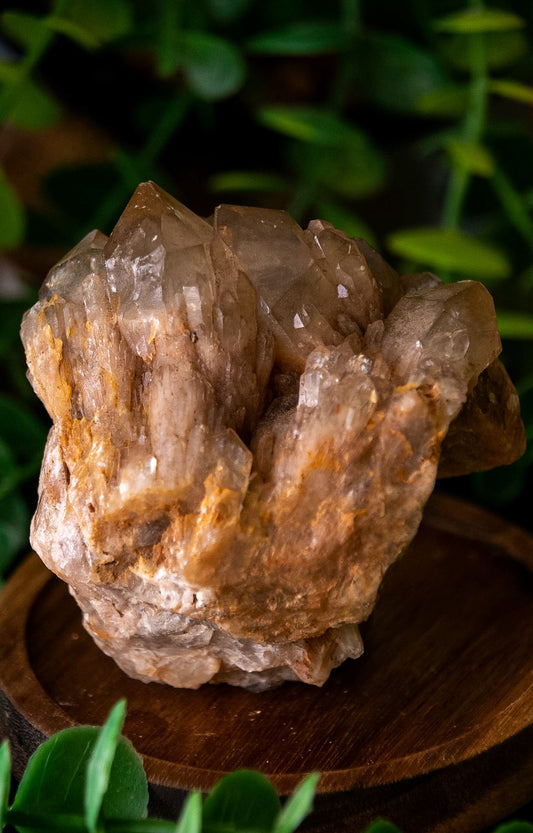 Kundalini citrine cluster