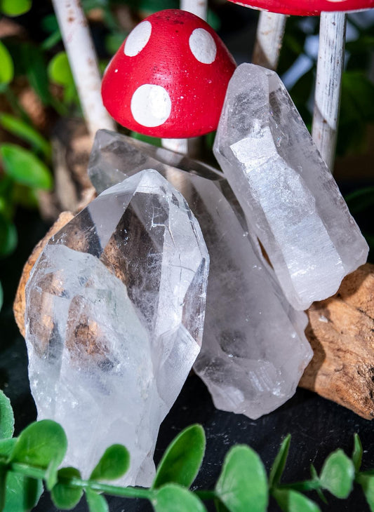Raw himalayan quartz crystals points