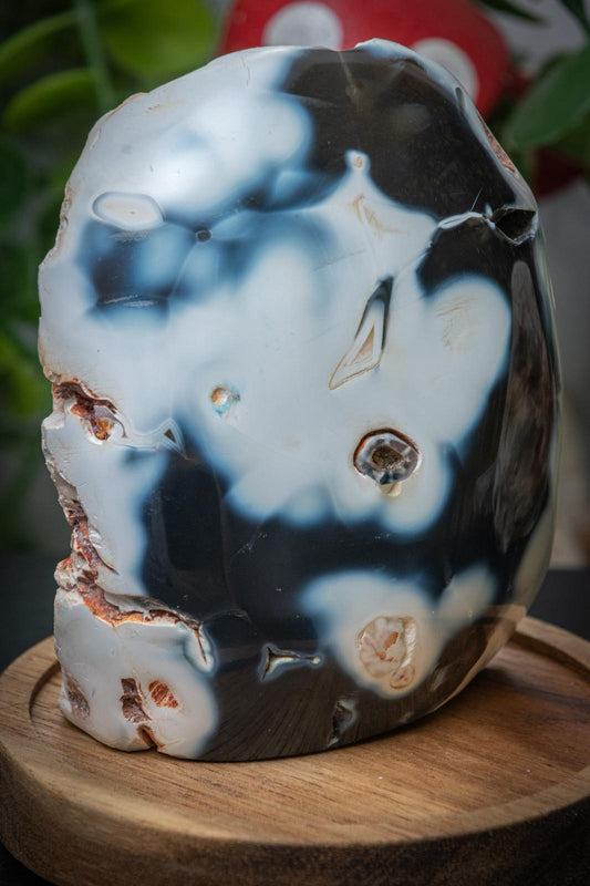 Orca agate freeform