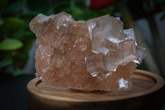 Halite salt crystal clusters