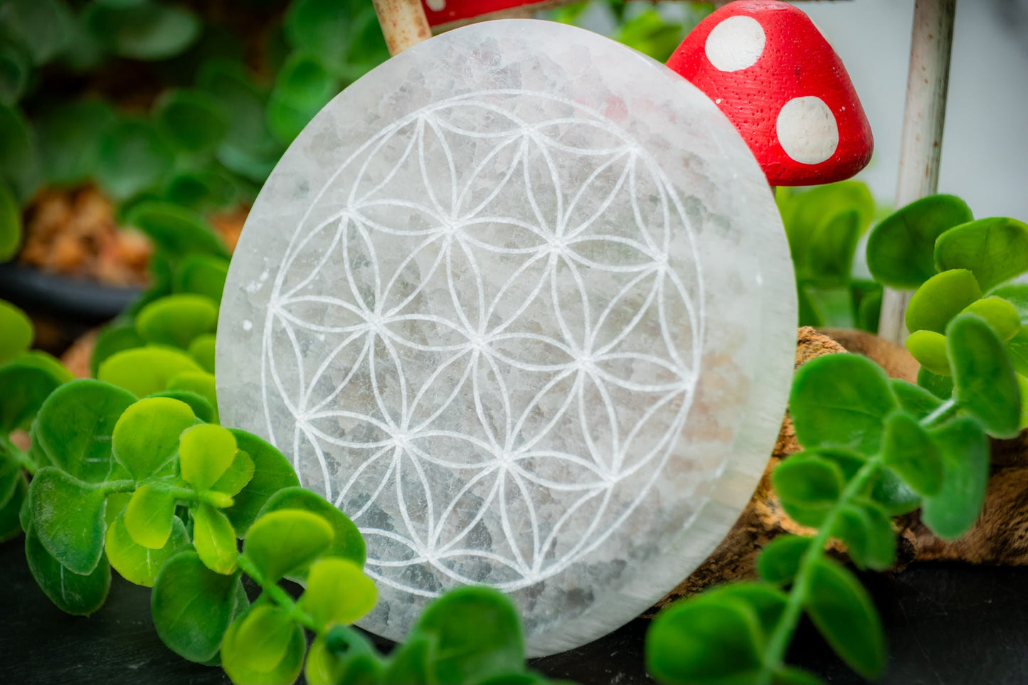 Etched Selenite (satin spar) charging plate carving - Flower grid