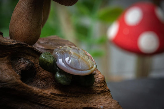 Ocean jasper turtle carving