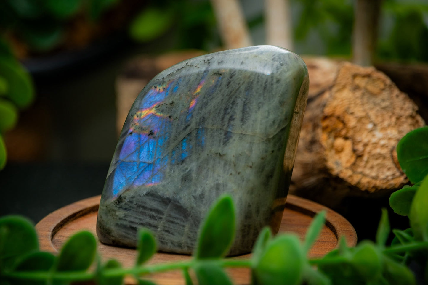 Labradorite freeform
