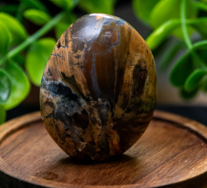 Mini Ocean Jasper crystal freeforms