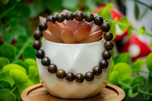 Bronzite 8mm bead power bracelet