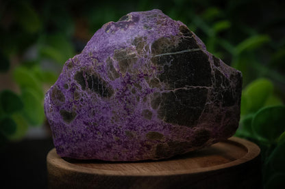 High grade atlantisite (stichtite with serpentine) semi polished freeform