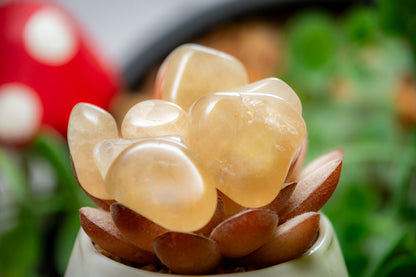 Smoky citrine tumblestone