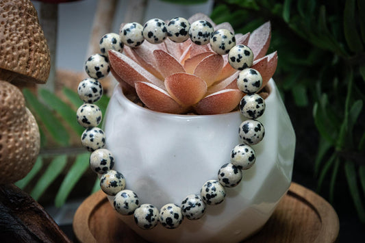 Dalmatian jasper power bracelet