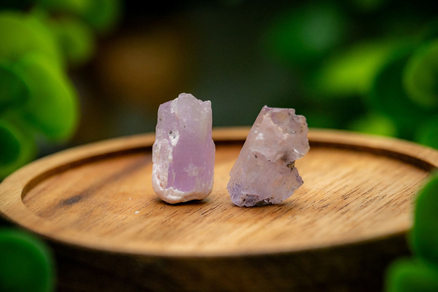 Kunzite specimen in display case
