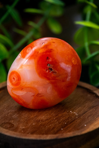 Mini carnelian freeform