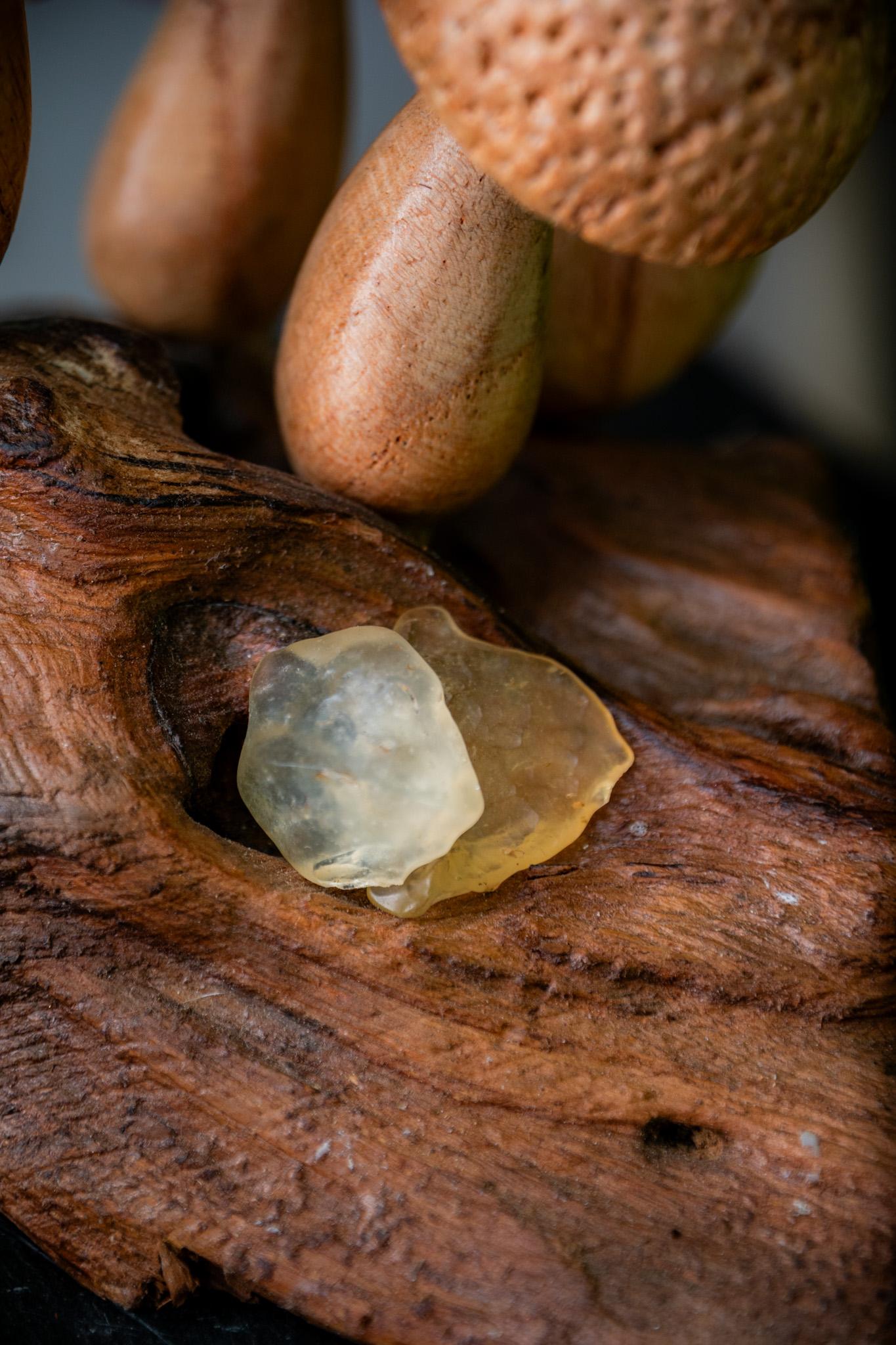 Small Libyan Desert glass