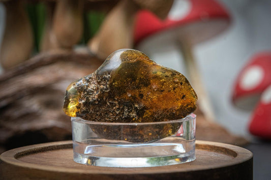 Raw amber in display case