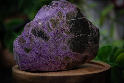 High grade atlantisite (stichtite with serpentine) semi polished freeform
