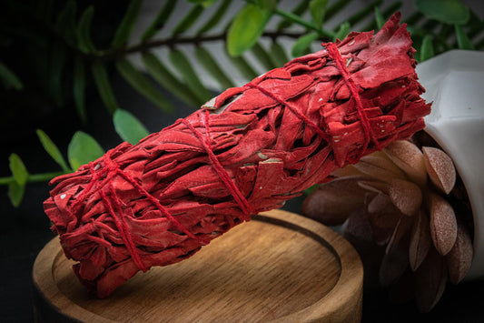Dragon blood sage