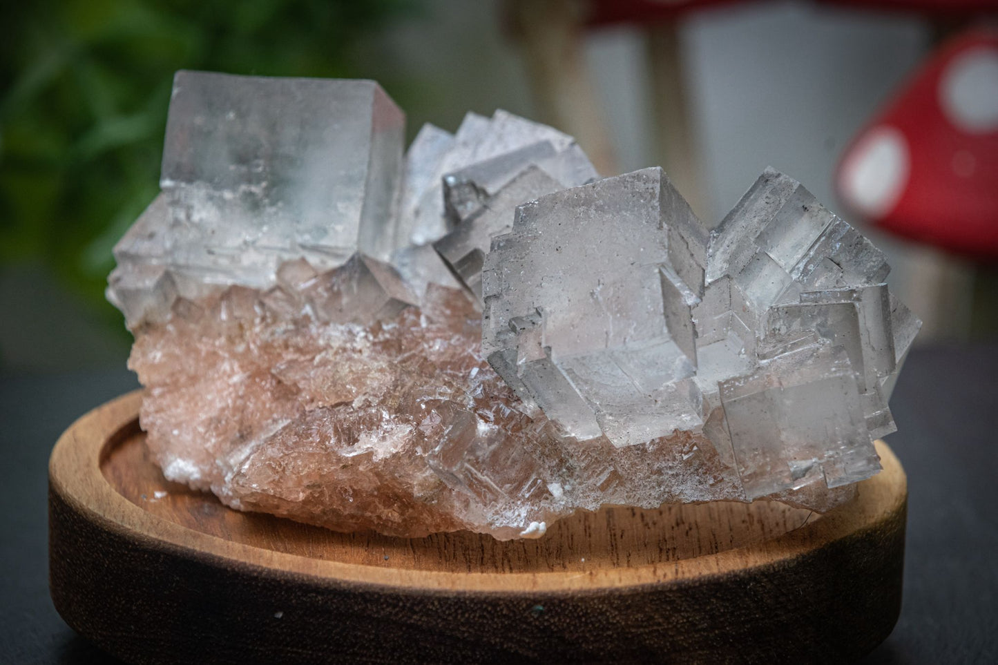 Halite salt crystal clusters